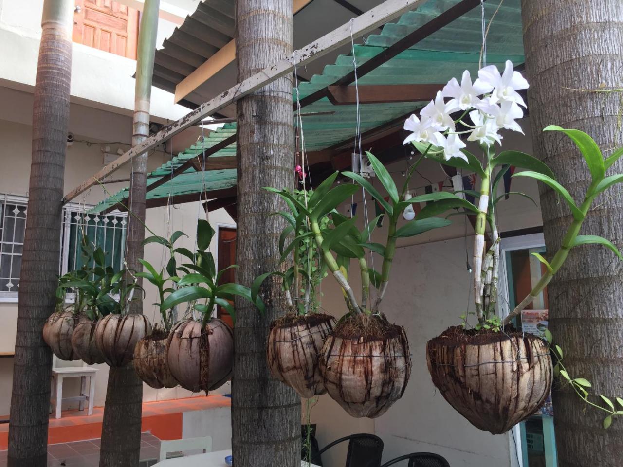Sarin Guesthouse Ko Tao Ngoại thất bức ảnh